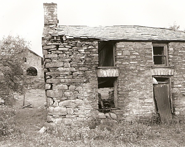 BRON Y BERLLAN, Ceredigion 2010 - CEREDIGION FARMS & COTTAGES