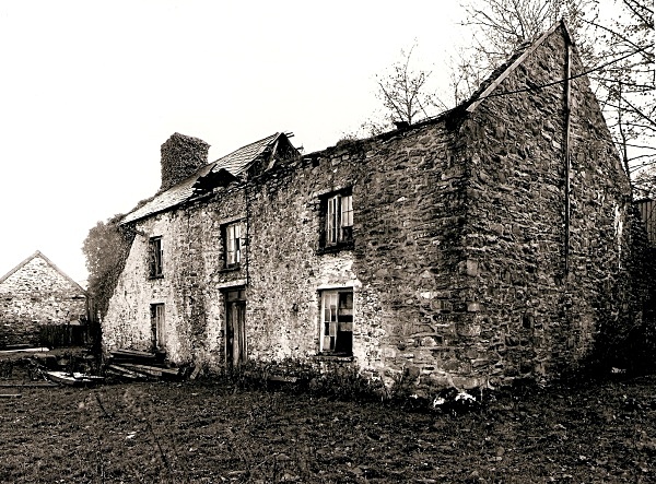 DERI ODWYN, Ceredigion 2009 - CEREDIGION FARMS & COTTAGES