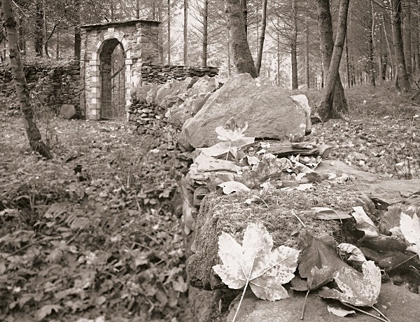 HAFOD (ruins, monuments and stables), Pontrhydygroes, Ceredigion