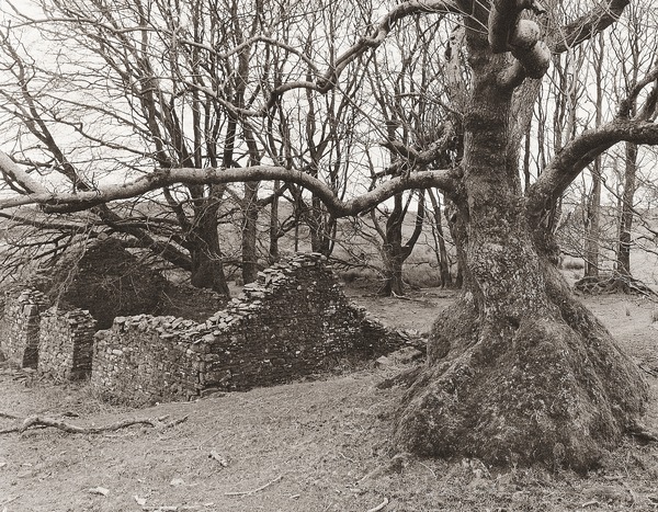 UNKNOWN, Llangwyryfon, Ceredigion 2012 - CEREDIGION FARMS & COTTAGES