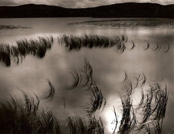 TEIFI POOLS, Ffair-Rhos, Ceredigion 1994 - THE WELSH LANDSCAPE - MOSTLY IN CEREDIGION