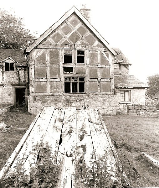 LLWYN YNN, Llanfair-Dyffryn, Denbighshire 2010 - DENBIGHSHIRE