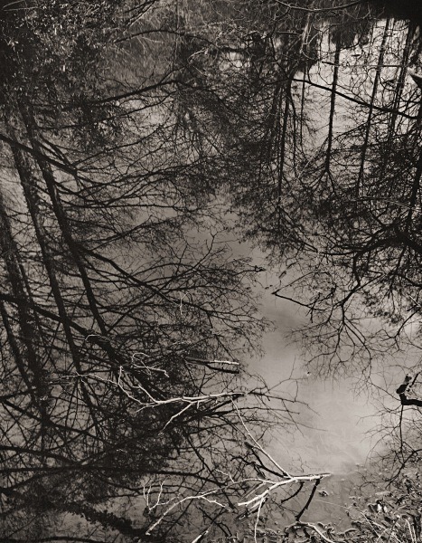 AFON RHEIDOL RIVER, Ceredigion 2015 - THE WELSH LANDSCAPE - MOSTLY IN CEREDIGION