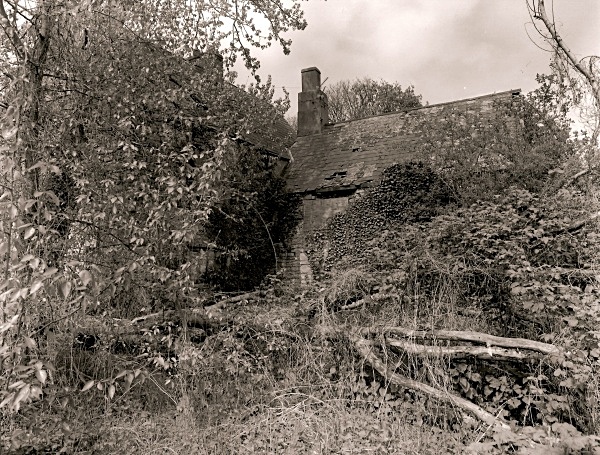GREAT MILTON, Newport, Gwent 2005