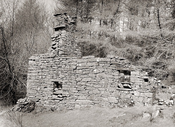 BRYN-Y-CROFFTAU, Pontrhydyfendigaid, Ceredigion 2016 - CEREDIGION FARMS & COTTAGES