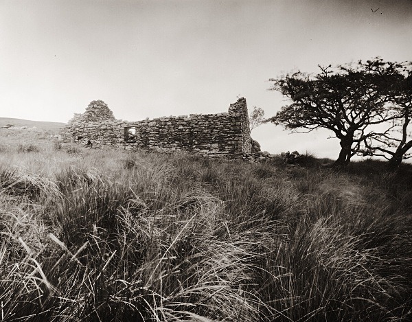 TY-NEWYDD, Rhos-gelli-gron common, Pontrhydyfendigaid, Ceredigion 2015 - CEREDIGION FARMS & COTTAGES