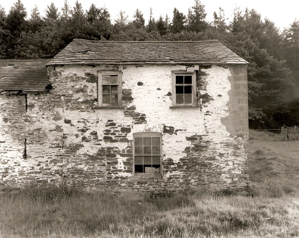 CWMNEWYDION-CANOL, (outbuilding? Longhouse?), Ceredigion 2010 - CEREDIGION FARMS & COTTAGES