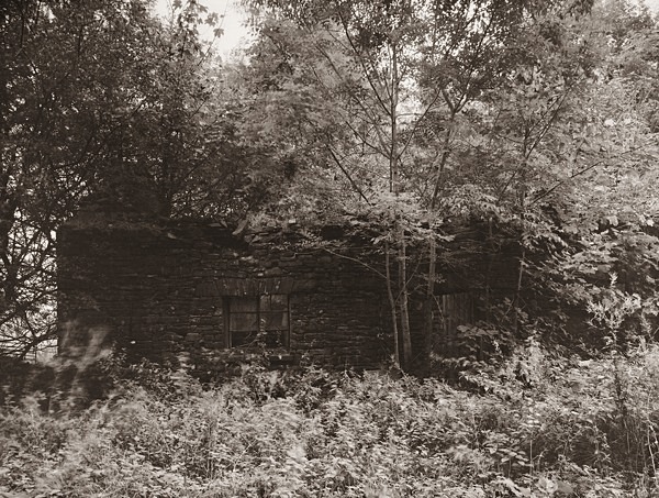 HAFOD, Lledred, Ceredigion 2013 - CEREDIGION FARMHOUSES