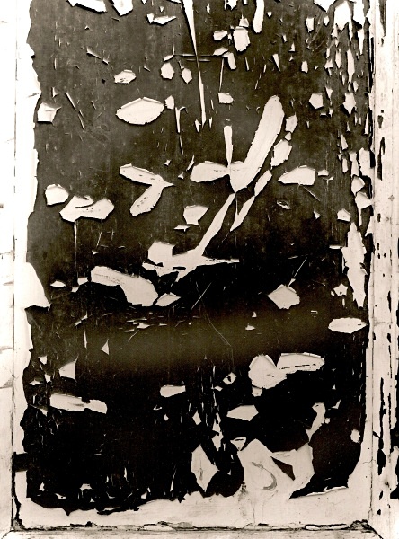 Door, Hove 2008 - ABSTRACTIONS