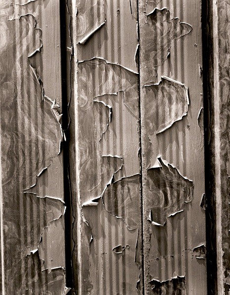 ABSTRACTION, Hove, East Sussex 2008 - ABSTRACTIONS