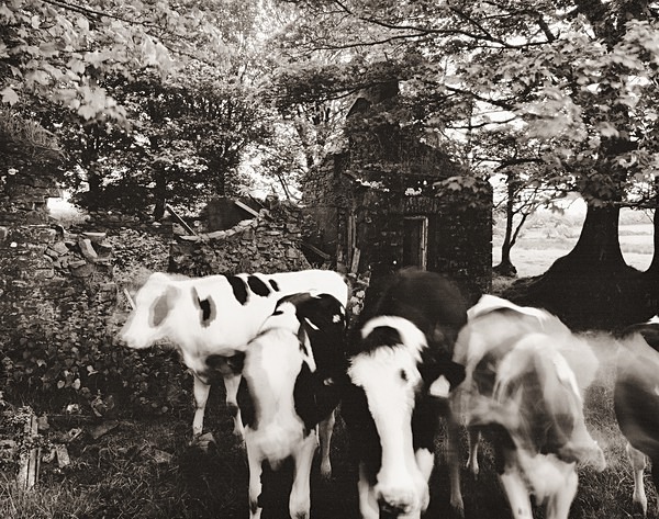 BLAEN-EINON, Mydroilyn, Ceredigion 2014 - CEREDIGION FARMS & COTTAGES