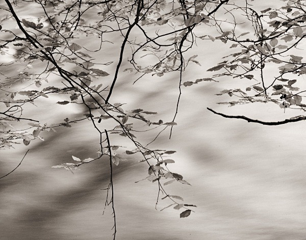 LLANERCHAERON, Aberaeron, Ceredigion 2015 - THE WELSH LANDSCAPE - MOSTLY IN CEREDIGION