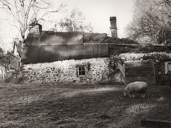 CWRT & GLYN COTTAGES, Llanon, Ceredigion 2015 - CEREDIGION FARMS & COTTAGES