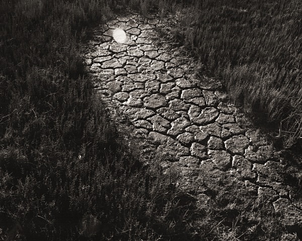 YNYS LAS, Ceredigion 2014 - THE WELSH LANDSCAPE - MOSTLY IN CEREDIGION