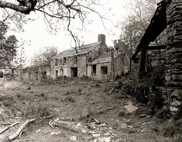 LLETYSYNOD, Ceredigion 2010 - CEREDIGION FARMS & COTTAGES