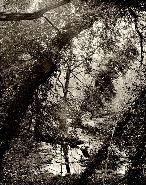 AFON RHEIDOL RIVER, Ceredigion 2015 - THE WELSH LANDSCAPE - MOSTLY IN CEREDIGION