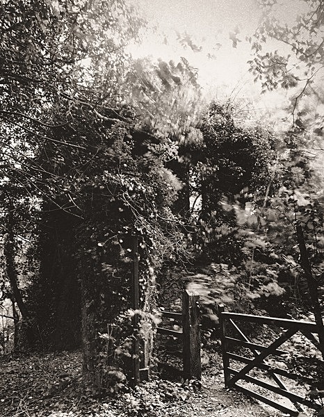 BRONWYDD GATE HOUSE, Llangynllo, Ceredigion 2011 - CEREDIGION MANSION ESTATES