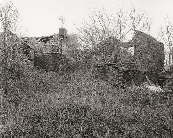 GELLI-GALED, Crynant, West Glamorgan 2012 - THE GLAMORGANS