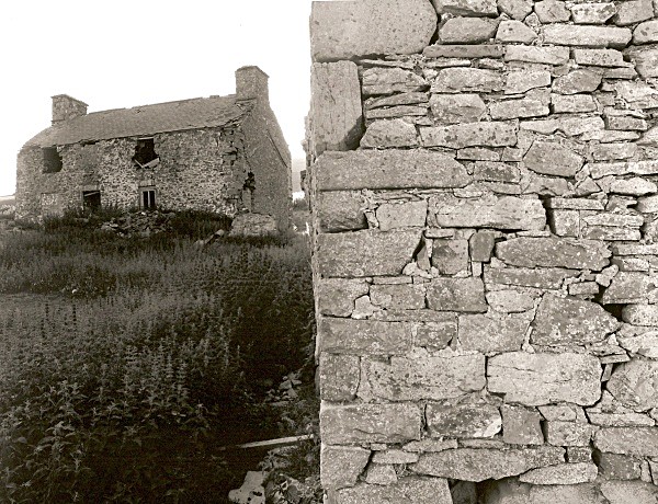FFOS LAS, Ceredigion 2010 - CEREDIGION FARMS & COTTAGES