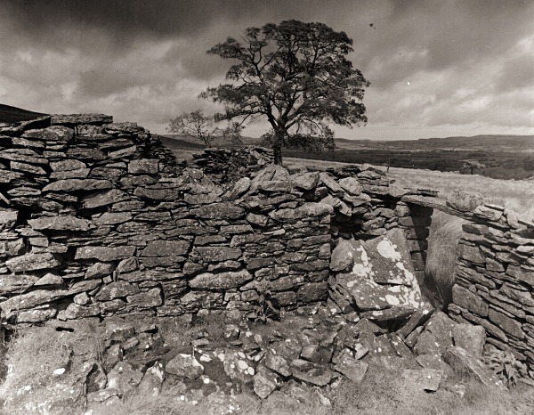 TY-NEWYDD, Rhos-gelli-gron common, Pontrhydyfendigaid, Ceredigion 2015 - CEREDIGION FARMS & COTTAGES