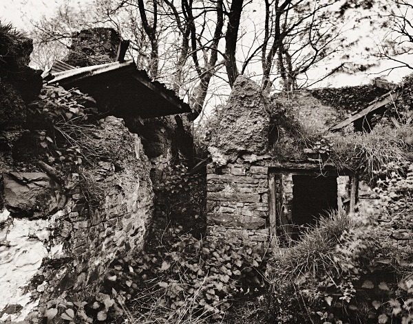 YNYS-FELEN, Llanfihangel Ystrad, Ceredigion 2015 - CEREDIGION FARMS & COTTAGES