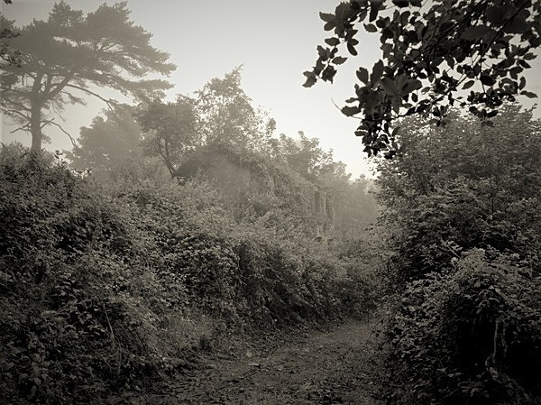BERLLAN DYWYLL, Lliedi Reservoir, Llanelli 2020 - CARMARTHENSHIRE