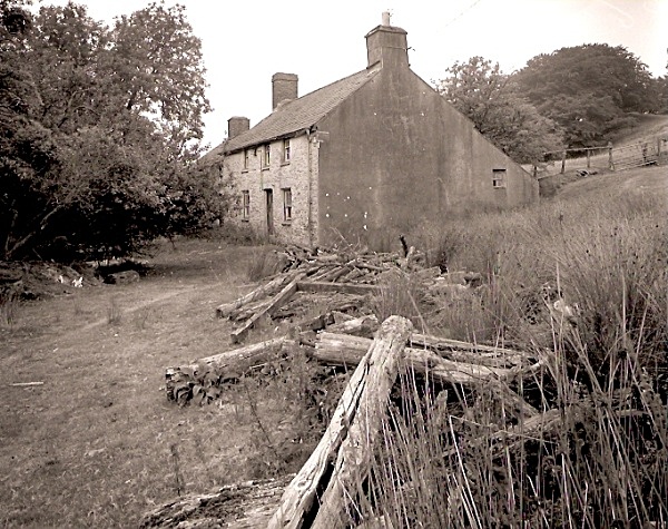 CAERMEIRCH, Ceredigion 2003 - CEREDIGION FARMS & COTTAGES