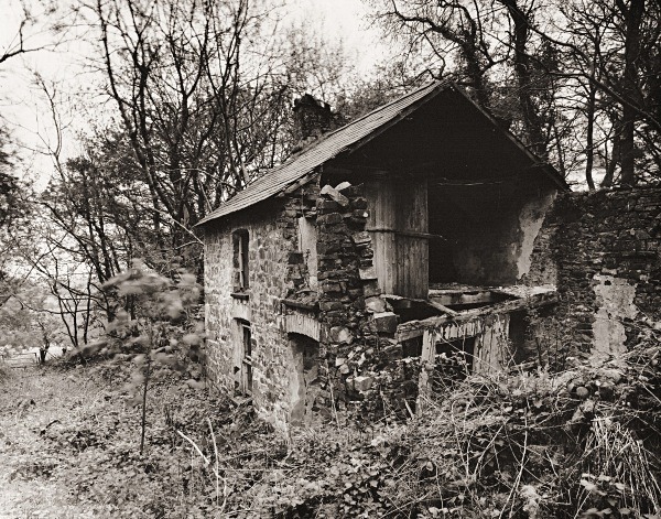 PANT-Y-RHEW-FACH, Dihewyd, Ceredigion 2015 - CEREDIGION FARMS & COTTAGES