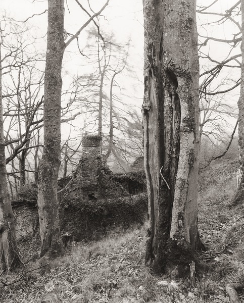PARAGON TOWER, Llansantffraed, Brecknock 2012 - BRECKNOCKSHIRE
