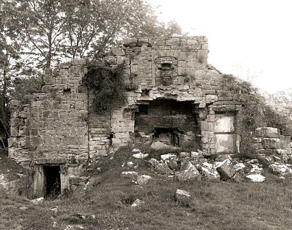 LLWYN YNN, Llanfair-Dyffryn, Denbighshire 2010 - DENBIGHSHIRE