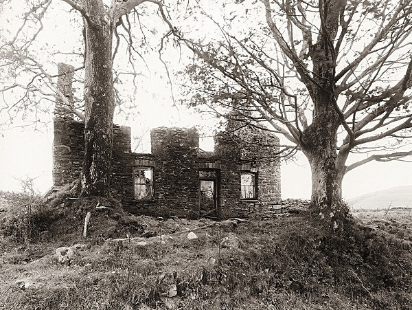 BLAEN GORFFEN, Pontrhydfendigaid, Ceredigion 2011 - CEREDIGION FARMS & COTTAGES