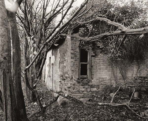 CANADA, Stag’s Head, Ceredigion 2014 - CEREDIGION FARMHOUSES