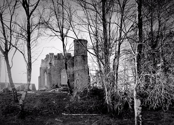BELVEDERE FOLLY, Swansea 2017 - THE GLAMORGANS