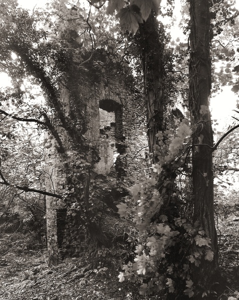 OLD BOULSTON MANOR, Uzmaston, Pembrokeshire 2011 - PEMBROKESHIRE