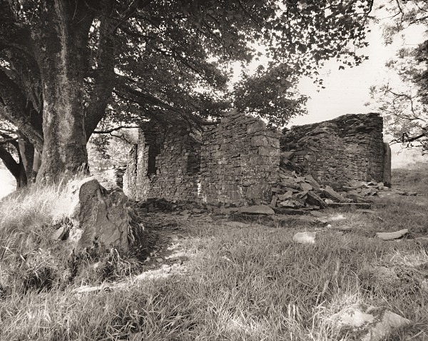 BRYN EIDDWEN, Trefenter, Ceredigion 2014 - CEREDIGION FARMS & COTTAGES