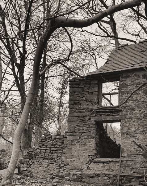 TRAFLE UCHAF, Llangeitho, Ceredigion 2015 - CEREDIGION FARMS & COTTAGES