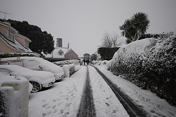 SD3 - Snow
