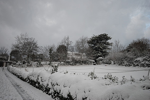 SD16 - Snow