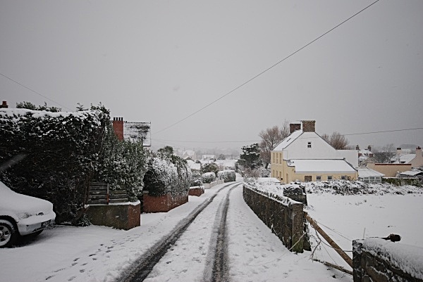 SD4 - Snow