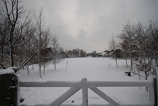 SD13 - Snow