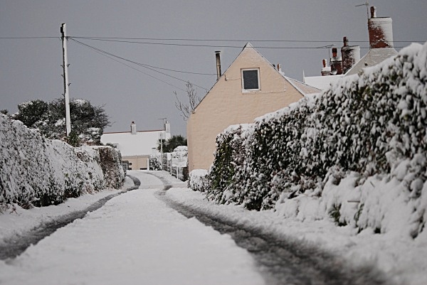 SD7 - Snow