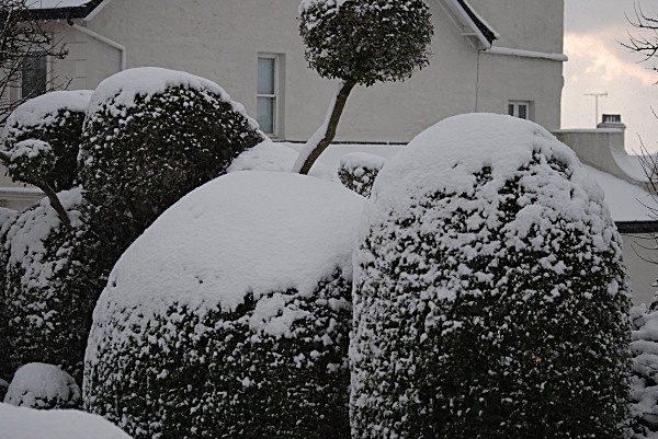 SD10 - Snow