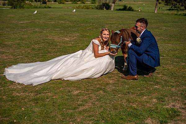  - Weddings