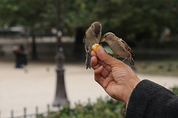  - Photos