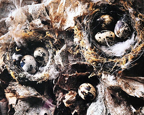  - Still Life