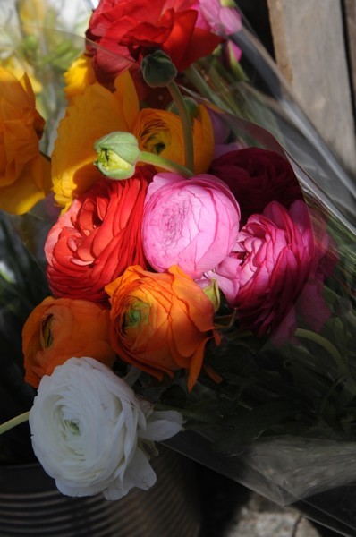  - Flowers