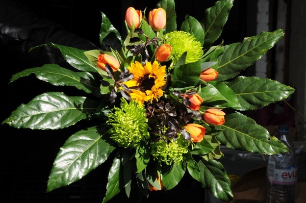  - Flowers