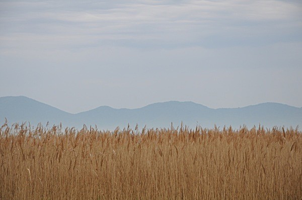  - Places