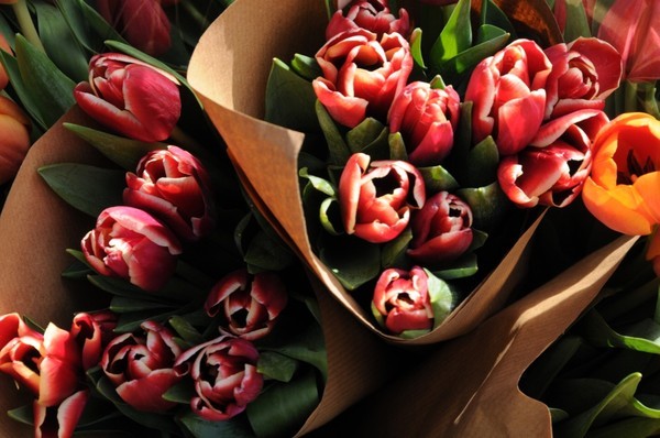  - Flowers