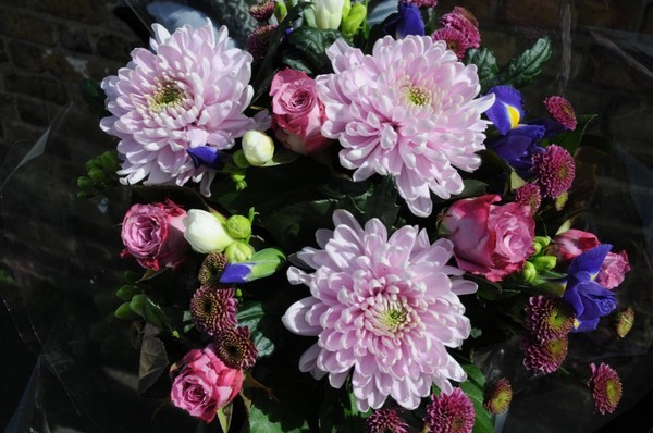  - Flowers
